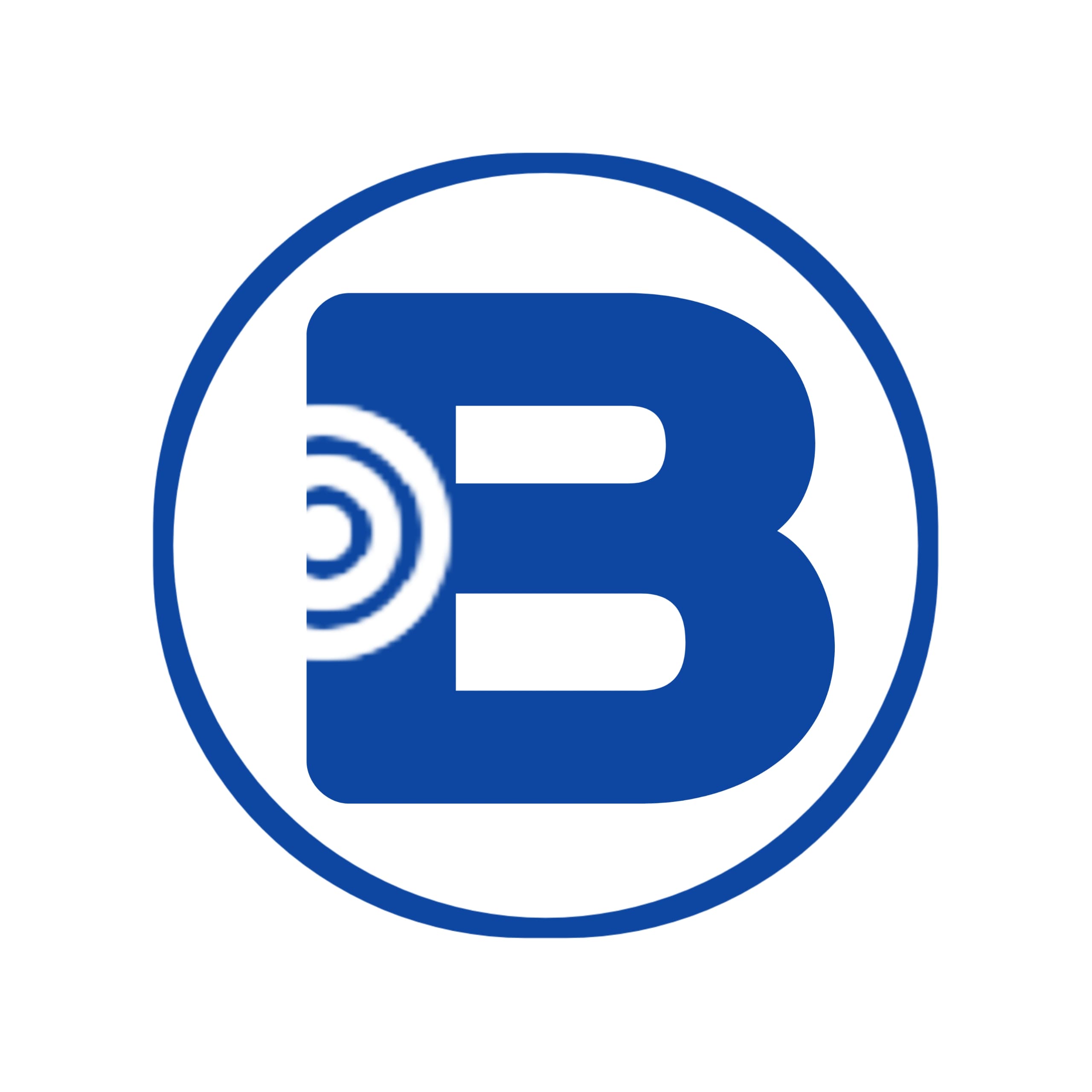 Bskdata Logo